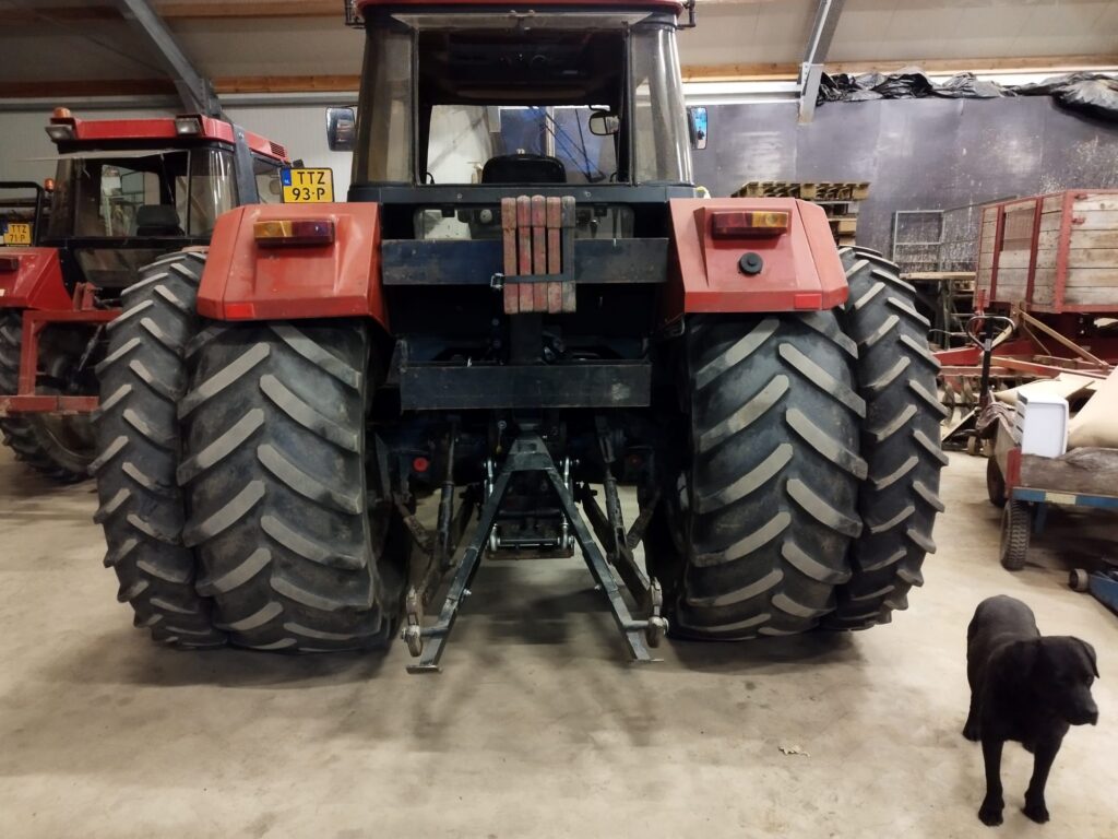 whatsapp image 2025 11 10 at 09.24.51 3